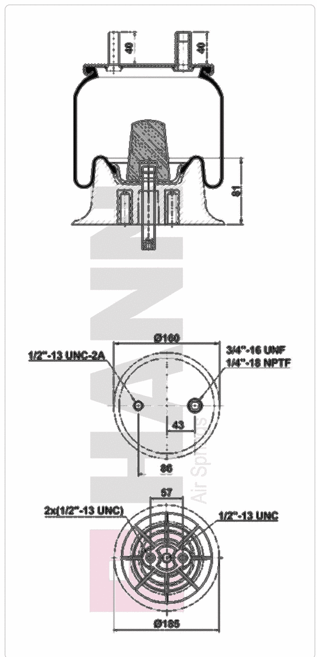 HANN H01.5423.CP air spring